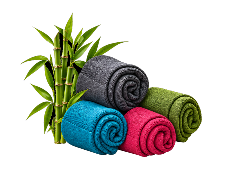 Bamboo